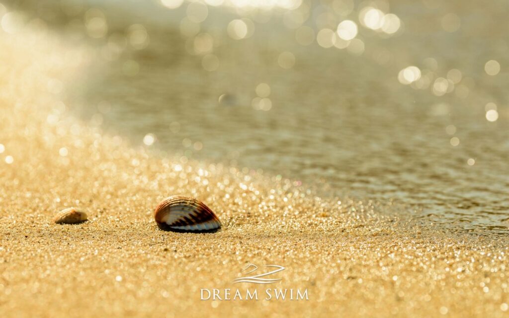 DreamSwim-rent-a-boat-1500x938